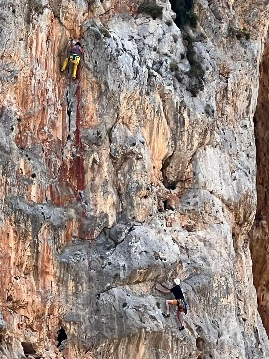Baum von Menschen von Dodekanes Bikes 