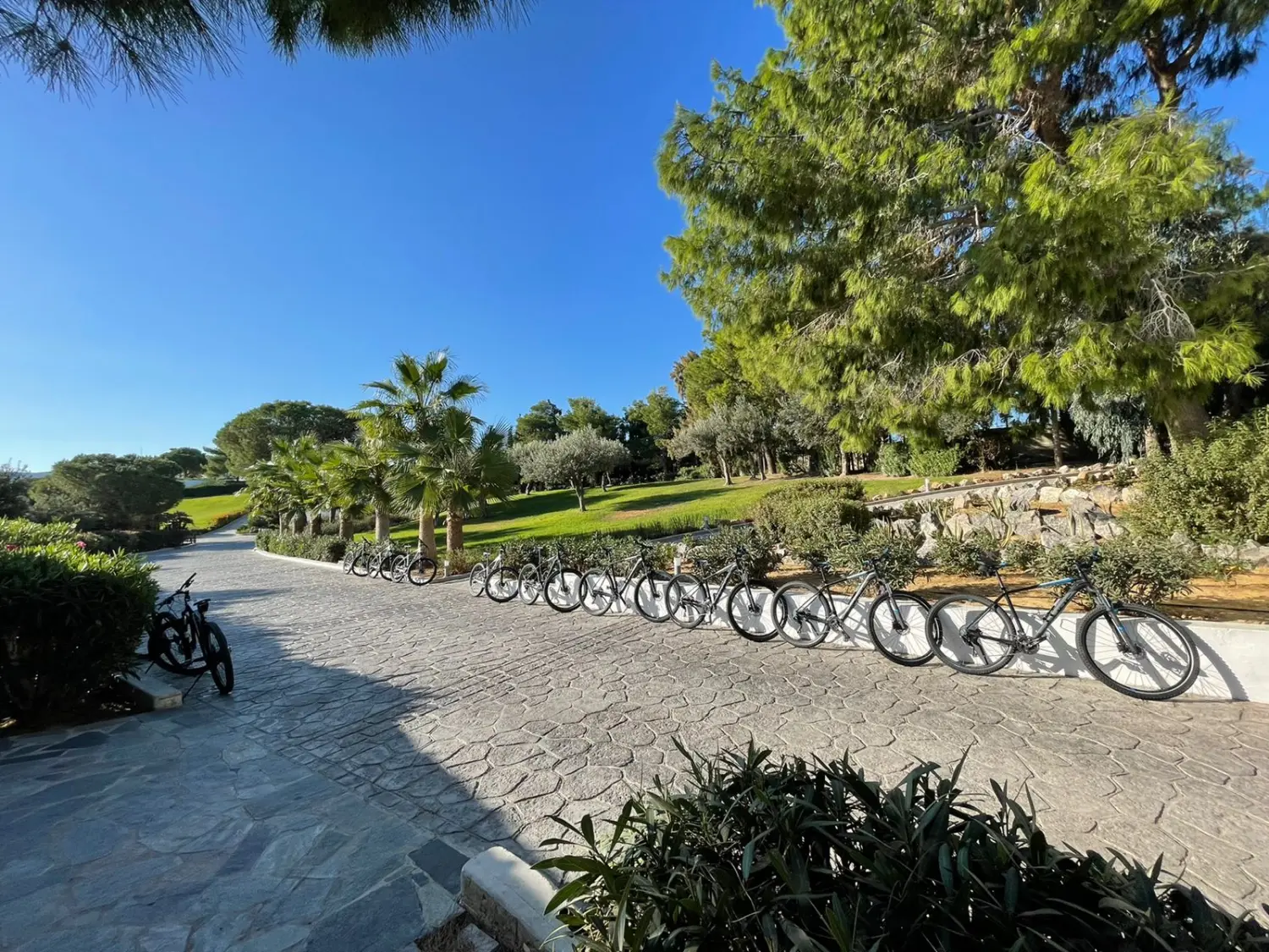 Bikes von Dodekanes Bikes