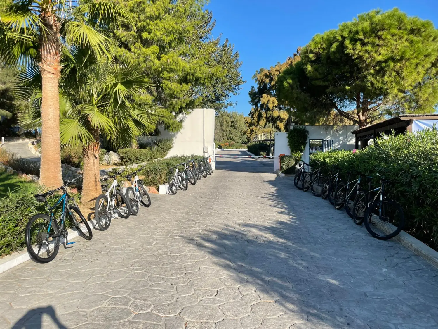 Bikes von Dodekanes Bikes