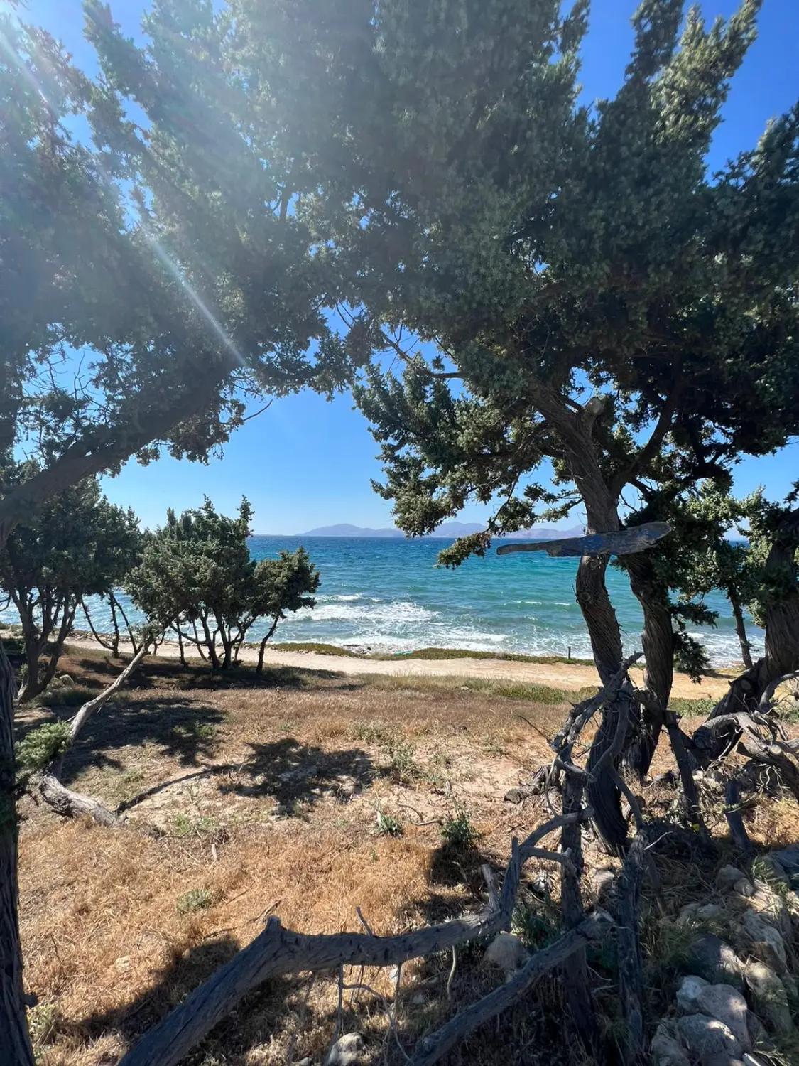 Strand von Dodekanes Bikes 