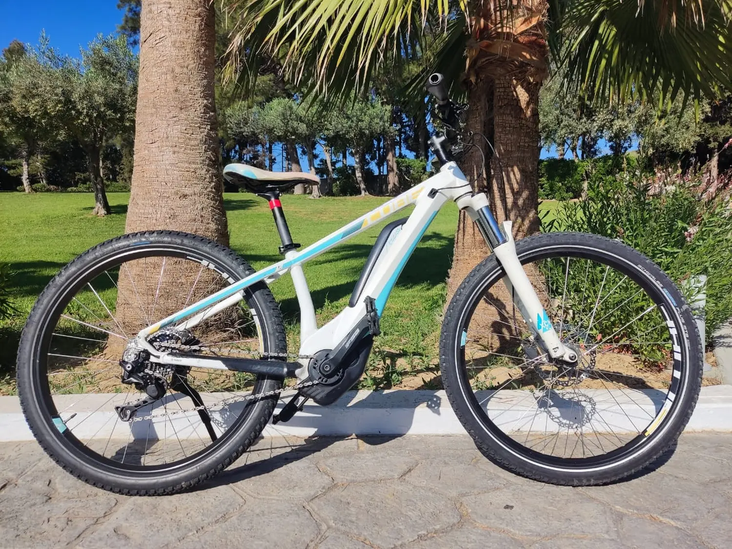 E Mountain Bike von Dodekanes Bikes  