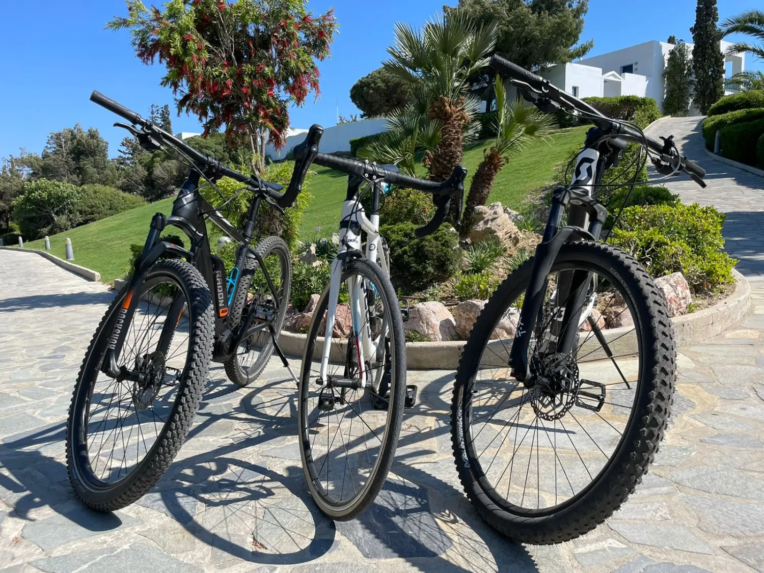 E Mountain Bike von Dodekanes Bikes  