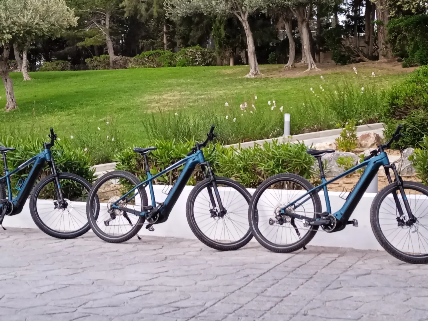 E Mountain Bike von Dodekanes Bikes  