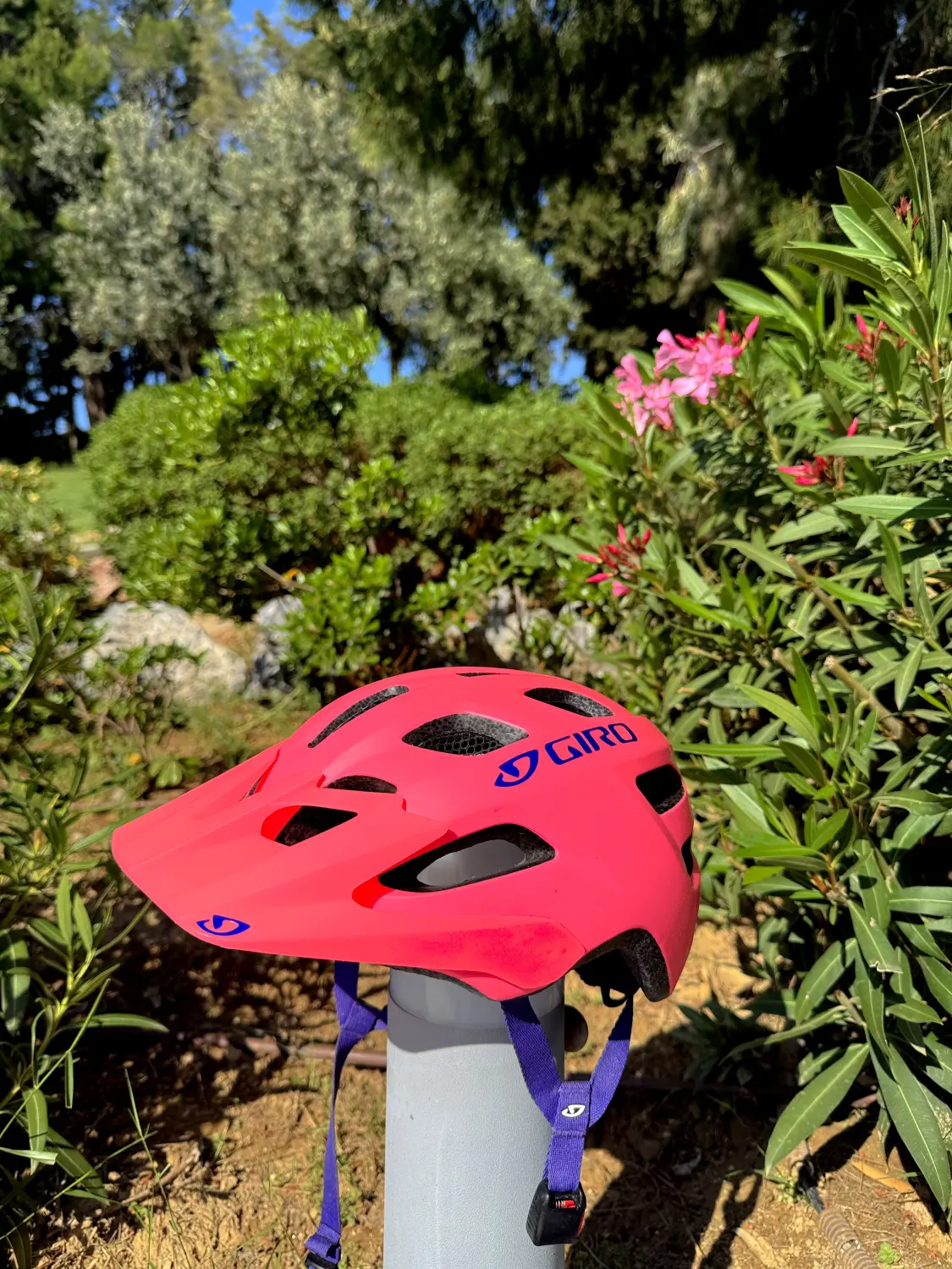 Dodenkanes Bikes