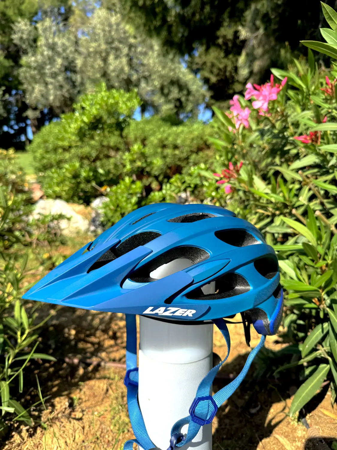 Dodenkanes Bikes