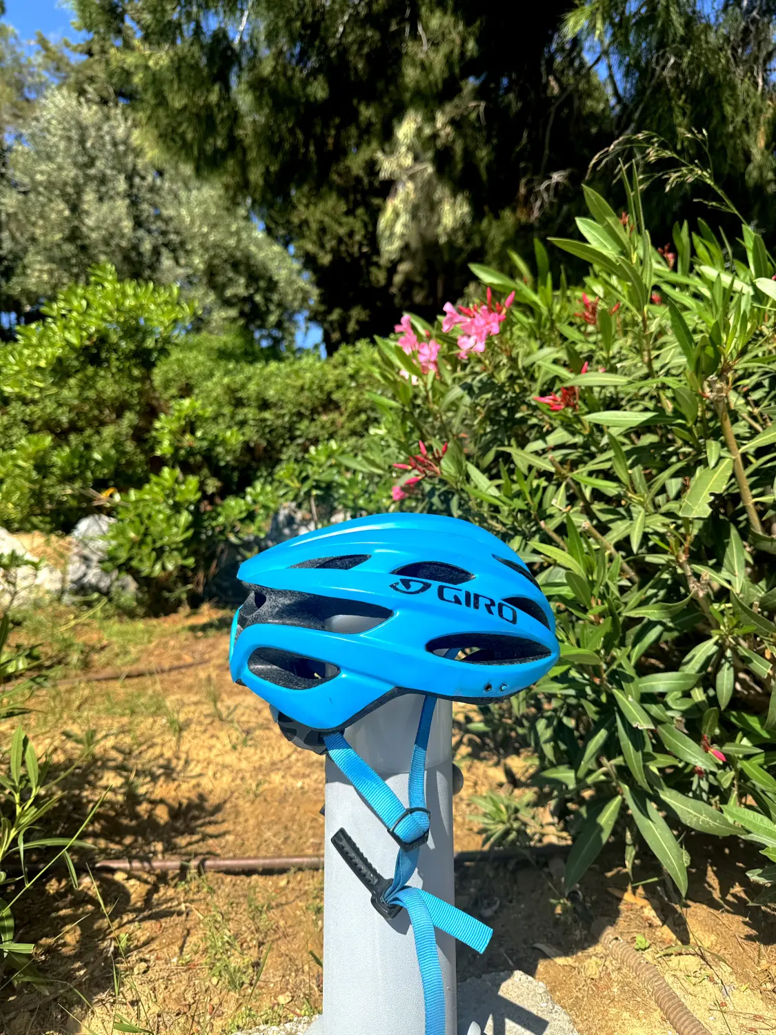 Dodenkanes Bikes