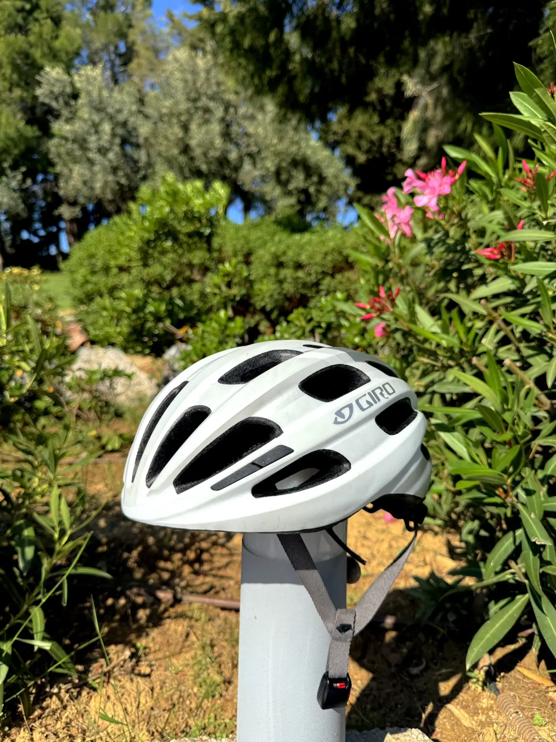 Rennrad