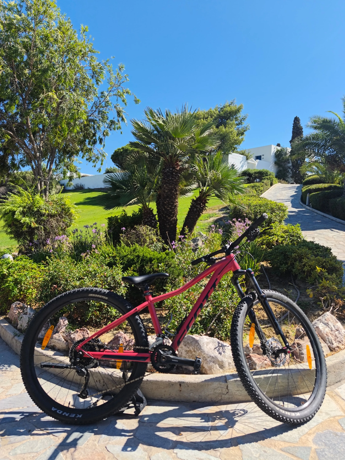 Dodenkanes Bikes