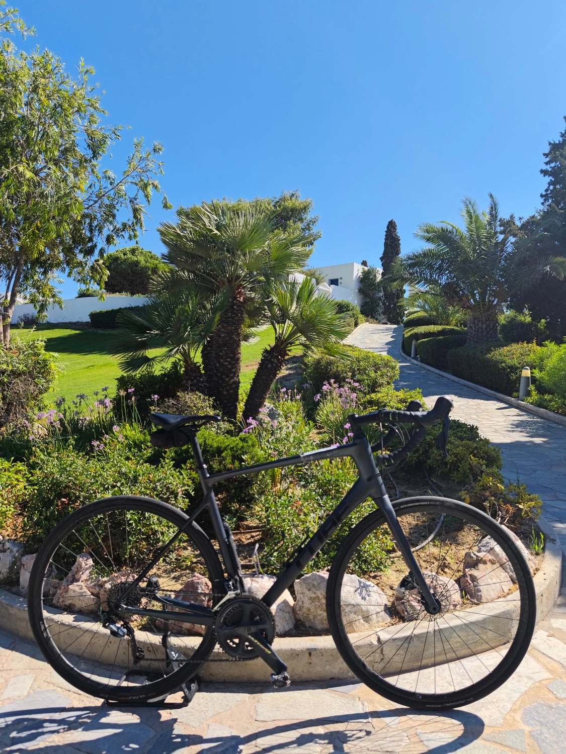 Rennrad von Dodekanes Bikes  