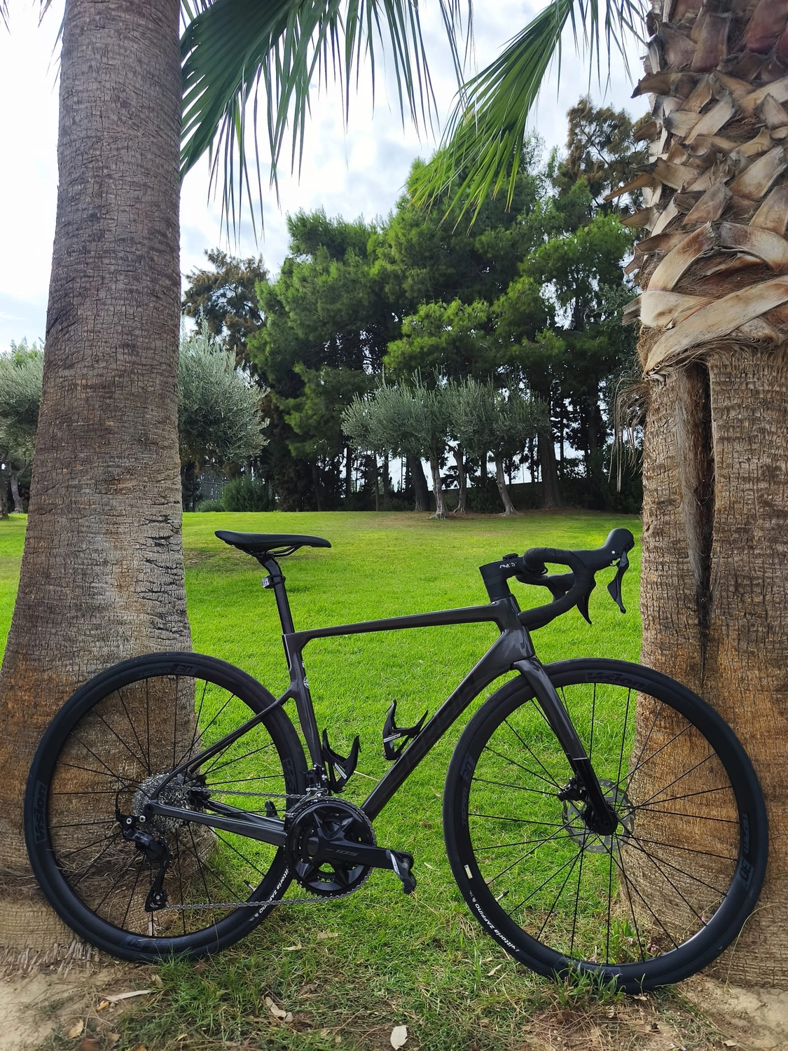 Rennrad von Dodekanes Bikes  